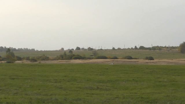 bark смотреть онлайн