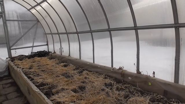 Когда высаживать томаты в теплицу с подогревом грунта в 2022 году для получения раннего урожая? смотреть онлайн
