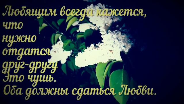 Люди проснитесь!!!Красота в нутри у каждого из нас!!!🥰🥰🥰Все Мира и Добра!!! смотреть онлайн
