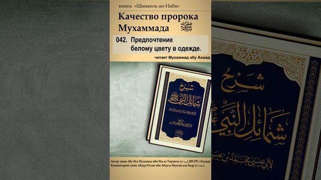 042. Качества Пророка ﷺ. Предпочтение белому цвету в одежде. смотреть онлайн
