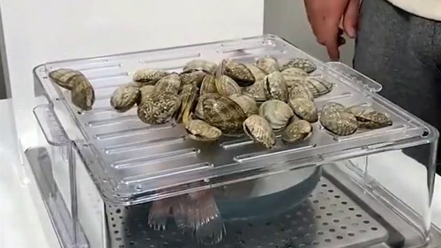 zhenmi folding steamer. смотреть онлайн