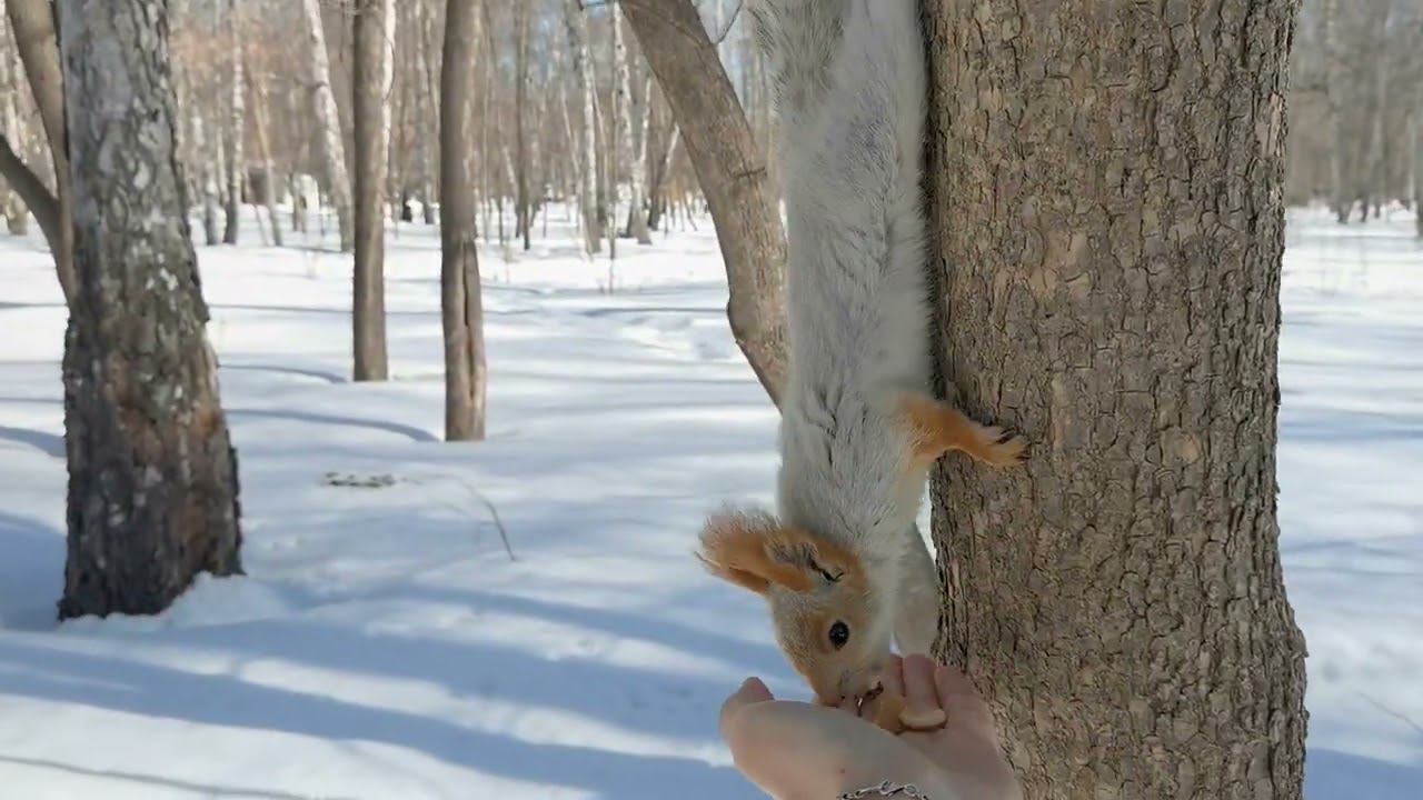 20 марта 2024 г. смотреть онлайн