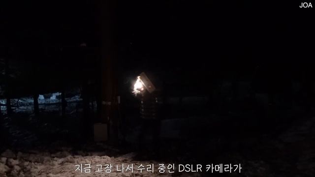 내가 원했던 미니멀 동계 캠핑ㅣ전기도 가스도 없이 ❄️눈 쌓인 편백나무 숲속, 화목 난로 하나면 모든 게 해결ㅣ숲속 캠핑이 이런 거구나ㅣ 경량 화목 난로ㅣ이 도넛 광주에만 파나요