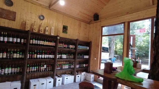 Абхазия. Первый раз в ПИЦУНДУ из Гагры. Часть 1. смотреть онлайн