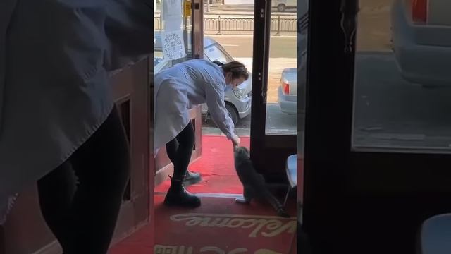 Когда заставляют работать, а ты ещё толком не отдохнул смотреть онлайн