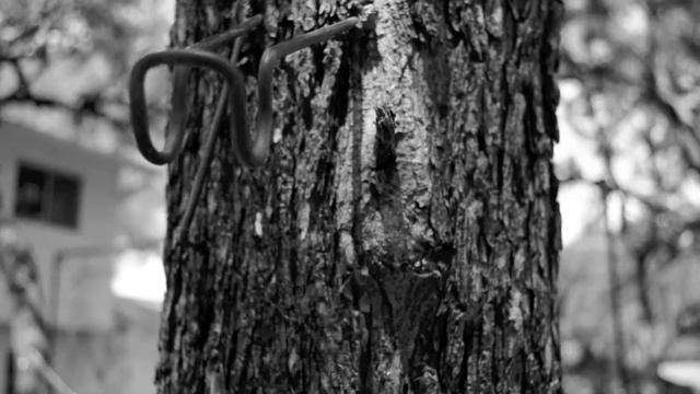 Backyard d3200 Test смотреть онлайн