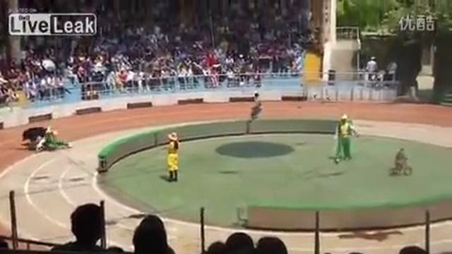 China : Circus bear attacks and kills circus monkey смотреть онлайн