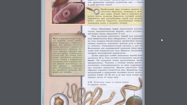 Биология (Л.Н.Сухорукова) 7к §30 Тип Плоские черви смотреть онлайн