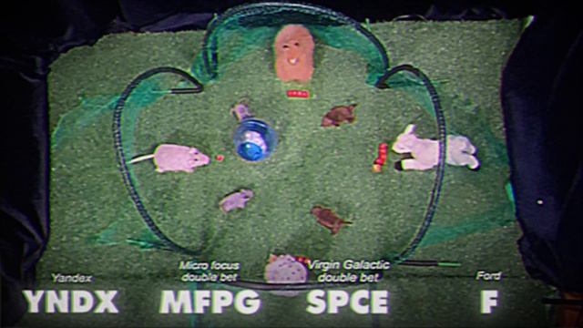 Hamster Investor Football ep.3 $376 смотреть онлайн