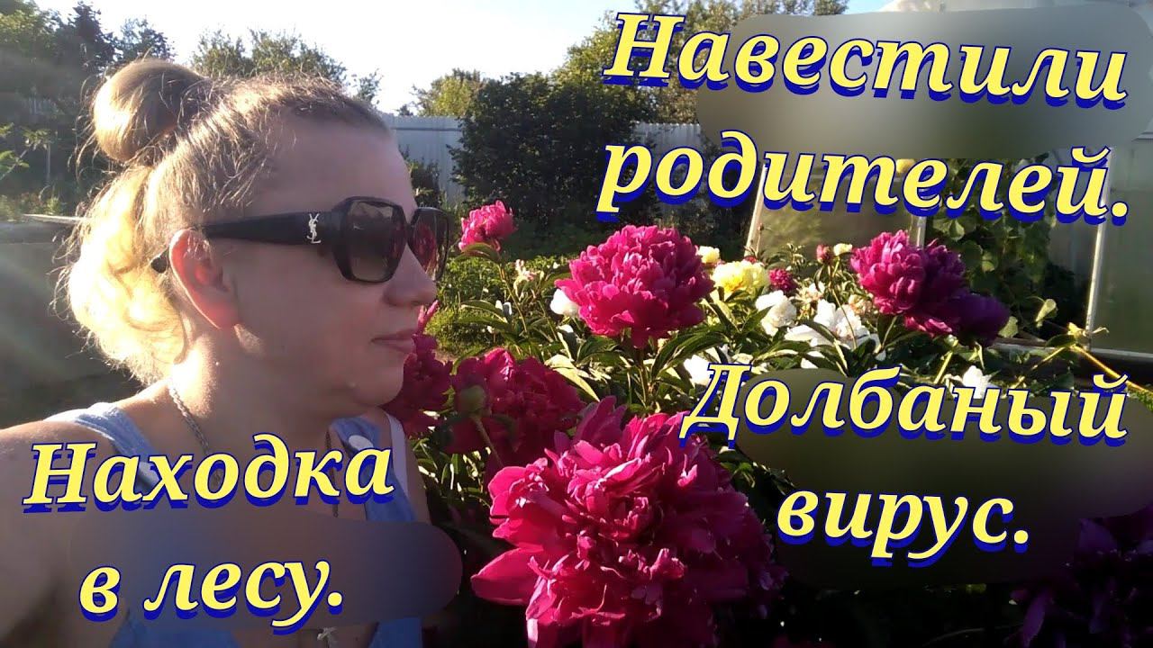 Влог / Семья в селе / Касимовский район / Село Самылово / Прогулка босиком / Дом в деревне смотреть онлайн