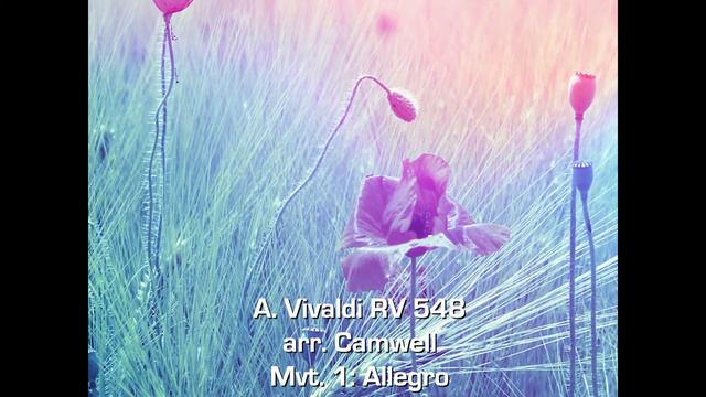 Bach & Vivaldi l Dave Camwell | Susan Fancher | Inara Zandmane смотреть онлайн