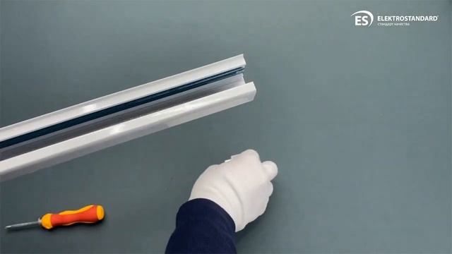 Вебинар «Трековые системы Elektrostandard