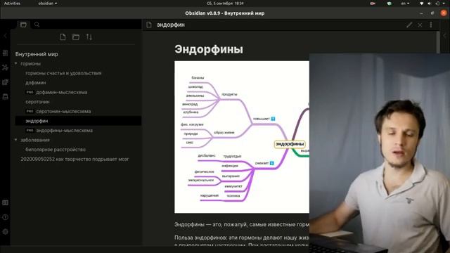 OBSIDIAN - инструмент ведения заметок по методу Zettelkasten, (аналог Notion, Roam Research)