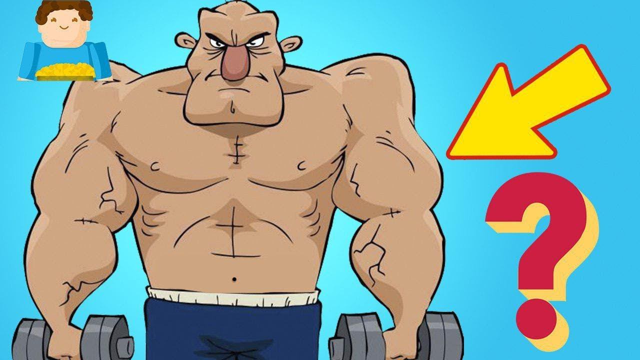 Как происходит рост мышц? | Plushkin смотреть онлайн