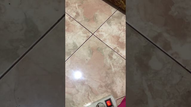 Argus XT смотреть онлайн