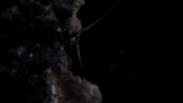 вскрытие стены с ходами от Камина? смотреть онлайн