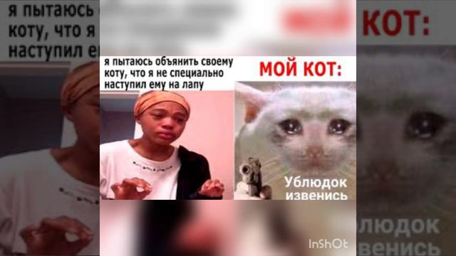 Смешные мемы (но это не точно) смотреть онлайн