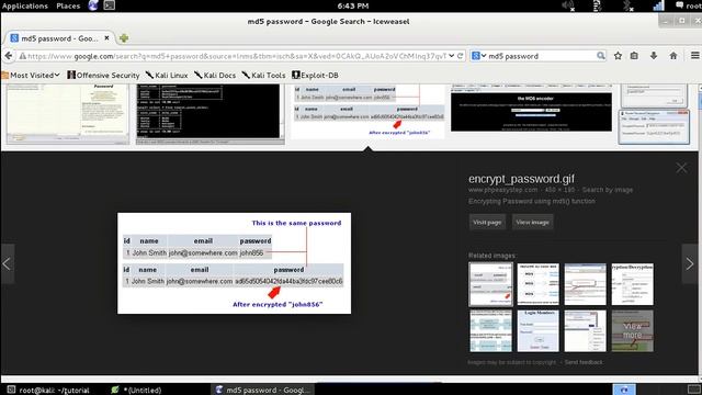 Create Your Own Brute Force on Python смотреть онлайн