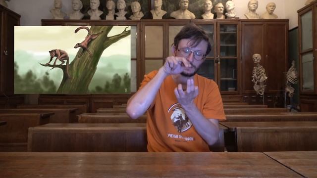 Антропология: Plesiadapiformes. Станислав Дробышевский смотреть онлайн