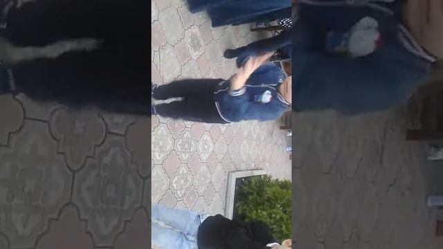Челел о ваня вангарёнко и артур зикман! смотреть онлайн