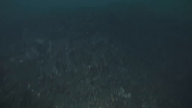 Søppelsjakt Hetlevik смотреть онлайн