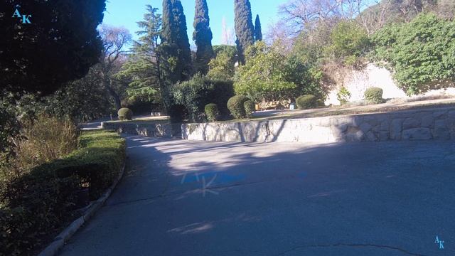 Мисхорский парк. Весна зимой. 2К. Крым. ЮБК. 31.01.2024г. смотреть онлайн