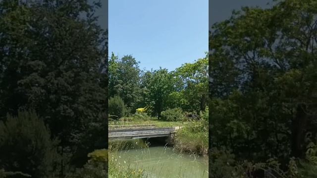 Парк Трианон смотреть онлайн