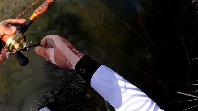 Первые шаги в ловли змееголова смотреть онлайн