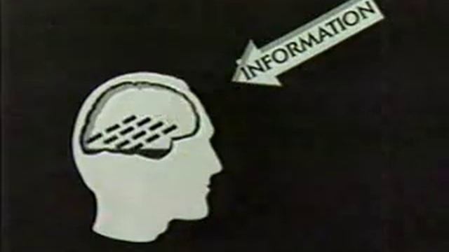 Women, know your limits смотреть онлайн