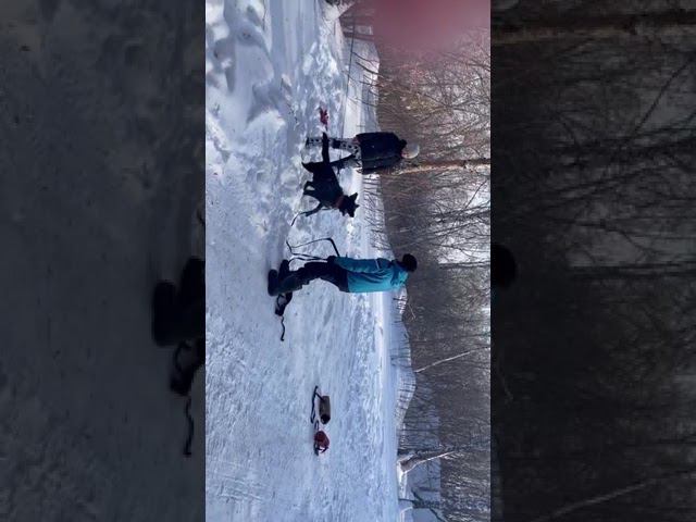 IMG 0054 смотреть онлайн