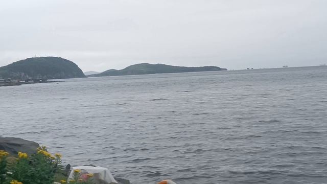 Владивосток Forever (навсегда)
Vladivostok.