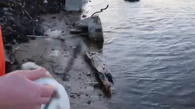 Айна и Дуня) 2018 год ) смотреть онлайн