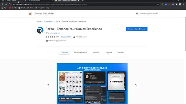 How To Get ROPRO Themes/SandBox On Roblox