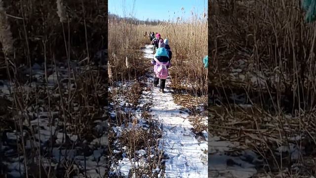 Свободная прогулка Пилигримов на левый берег Дона. 10.02.23 смотреть онлайн