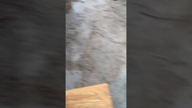 Элитек . ELITECH ГУ 350РЭ . Реально крутит