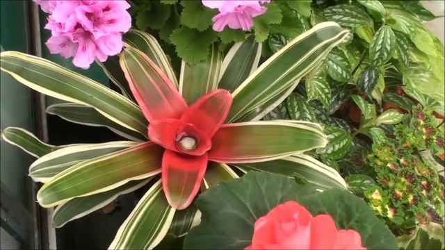 The Butchart Gardens, Victoria BC Canada смотреть онлайн