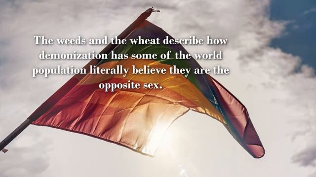 Demonization Brought Spiritual Conflict upon This Nation! by Donald Evans смотреть онлайн