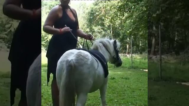 Pony Check Ride 1 смотреть онлайн