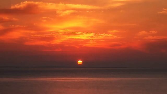 THALION рекламный ролик (на французском языке)