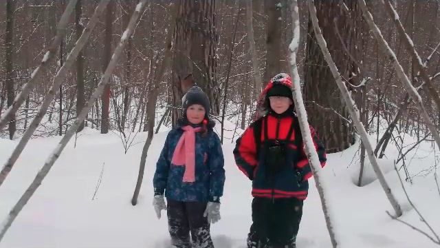 Поход в зимний лес смотреть онлайн