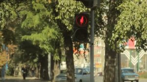 Суровый пешеходный светофор