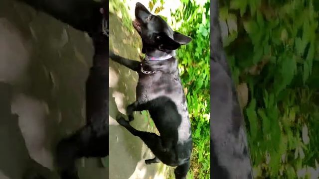 Просто бег. Качаем мышцы. смотреть онлайн