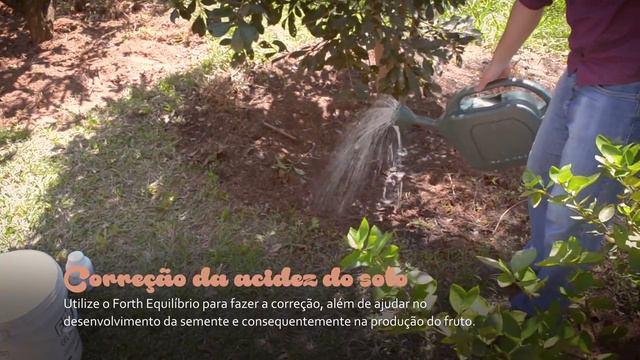 Minha árvore não está produzindo, o que fazer? смотреть онлайн