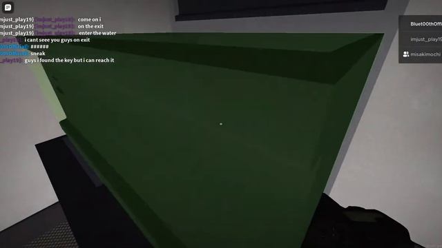 Beating The Backrooms (Apeirophobia) Level 3 in Roblox. [with my sister] смотреть онлайн