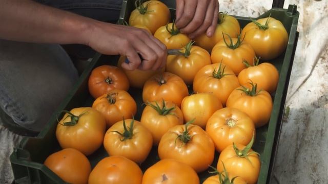 Market Gardening Meets Permaculture | La Ferme Des Quatre-Temps (FQT Farm) смотреть онлайн