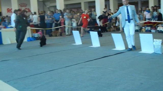 Сравнение сук юниорок INKANTO BLISS НОТ STORY и БЬЮТИ КВИН ИЗ СИБИРСКОГО КНЯЖЕСТВА смотреть онлайн