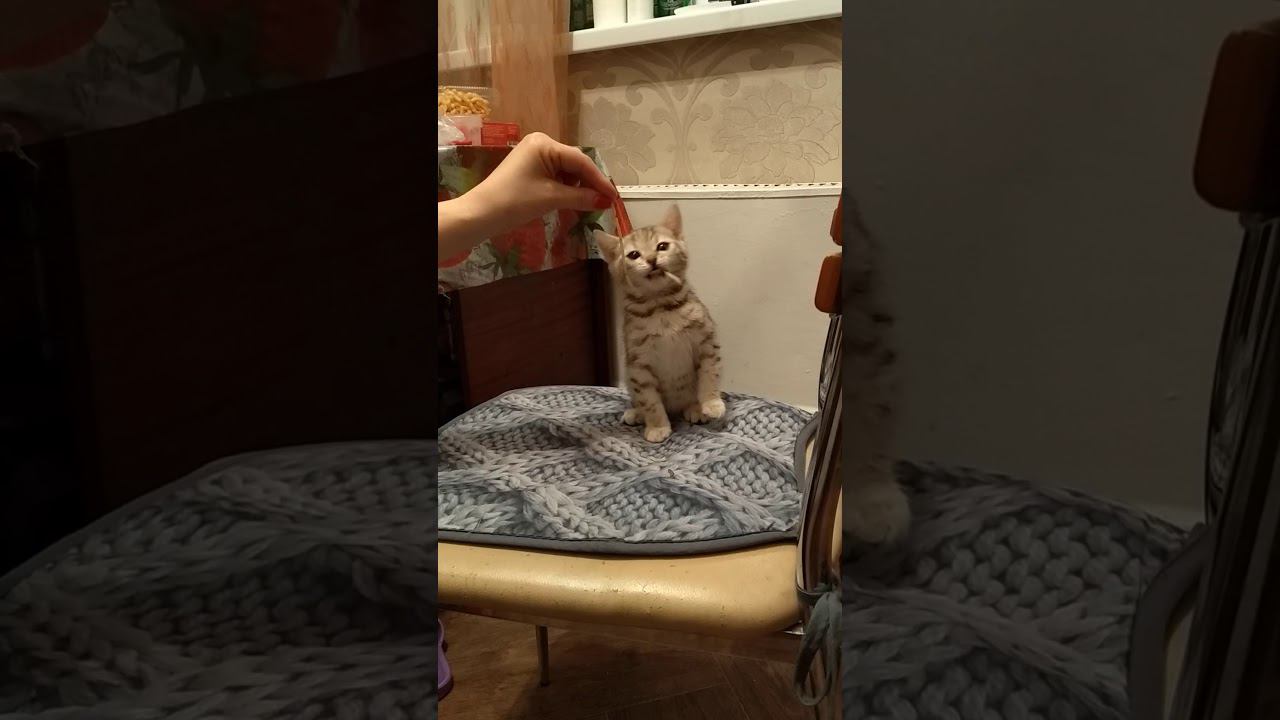 22 января 2020 г. смотреть онлайн