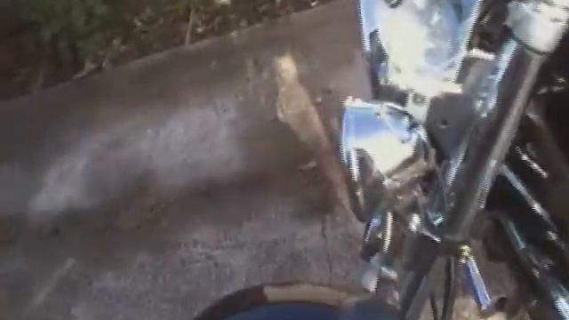 Viper V250C обзор после 5000 км пробега