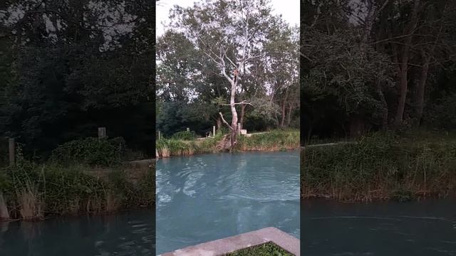 г.Хасавюрт с.Муцалаул смотреть онлайн