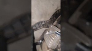 зажигание от бензокосы на Муравей мотороллер часть первая